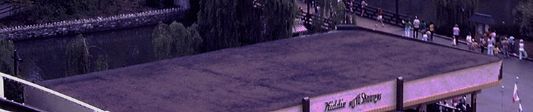 My beautiful picture