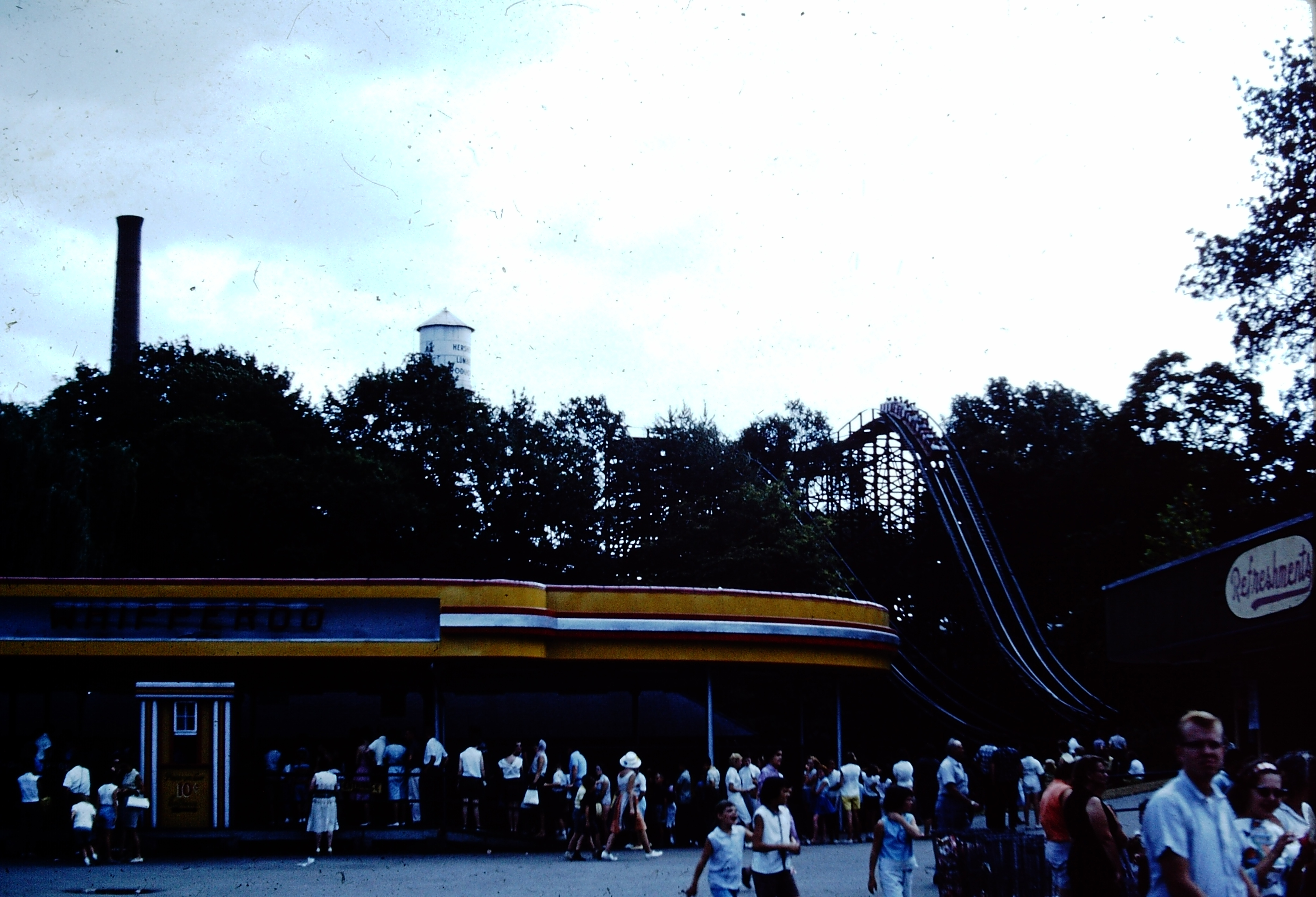 My beautiful picture