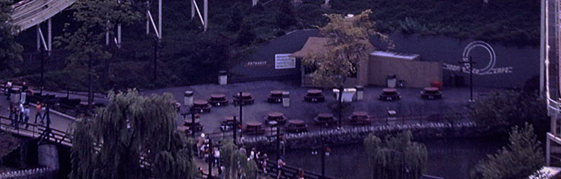 My beautiful picture