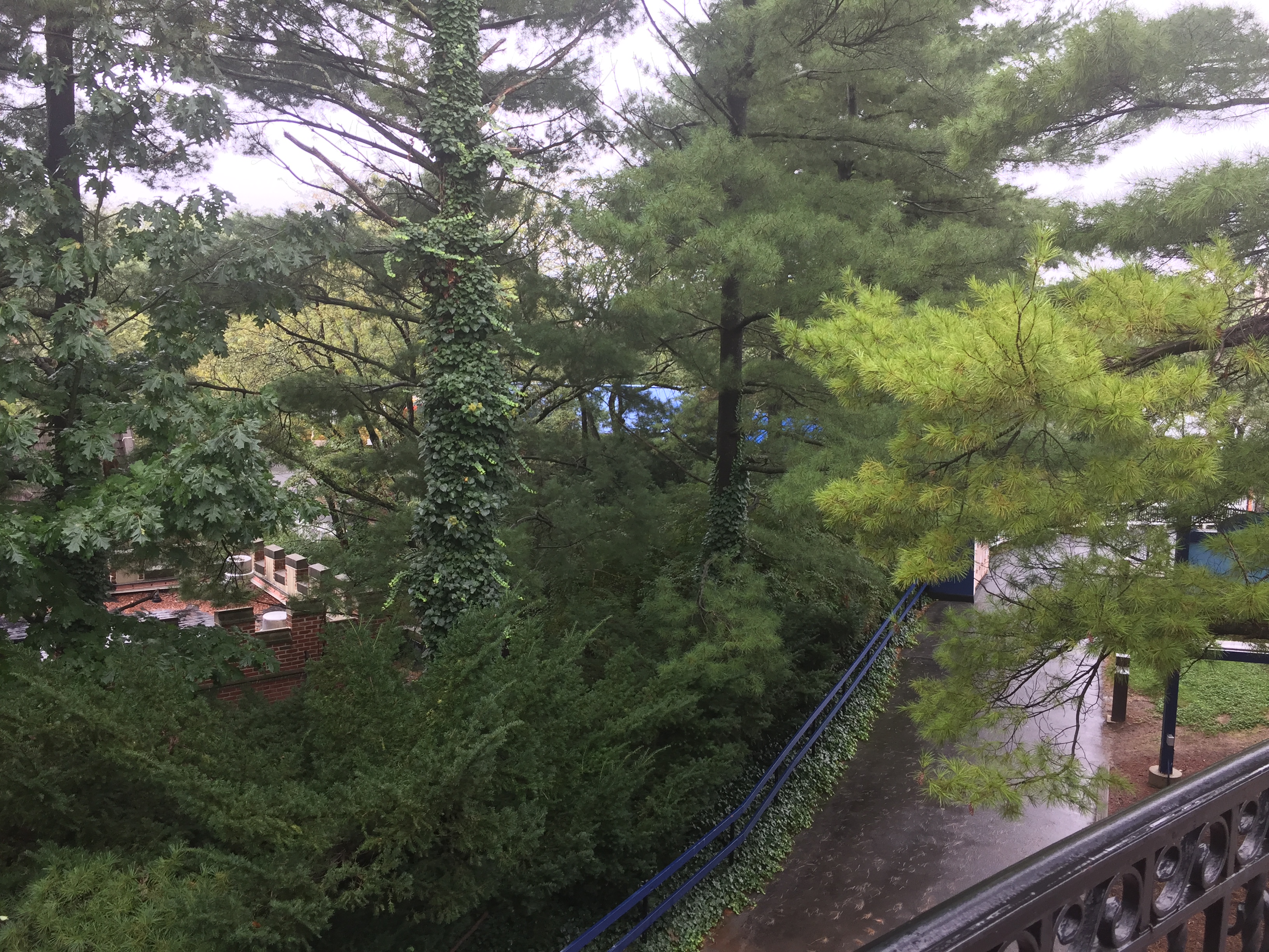 Patio at the Ice Palace