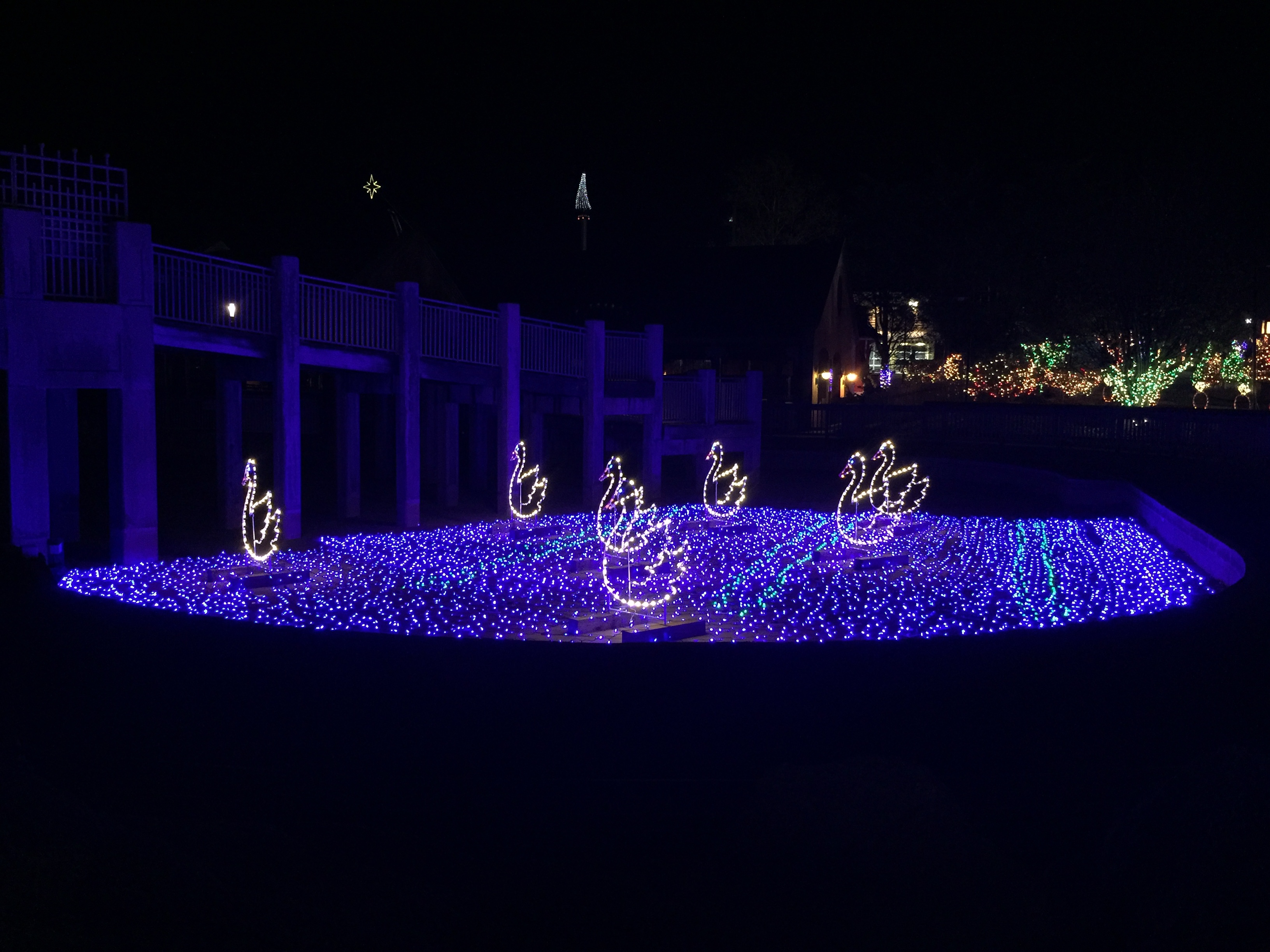 Tidal Force during Hersheypark Christmas Candylane. November 13, 2015